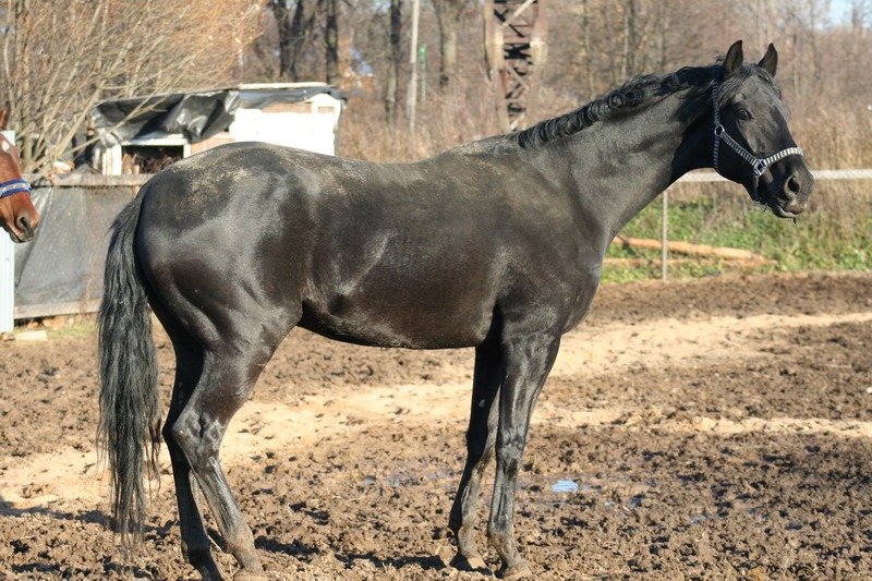 IMG_1343.jpg1.jpg"%20height="533"%20width="800